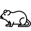 Logo Hakainet